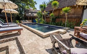 Buena Vibra Bungalows & Villa, Ohia Ardi Beltza